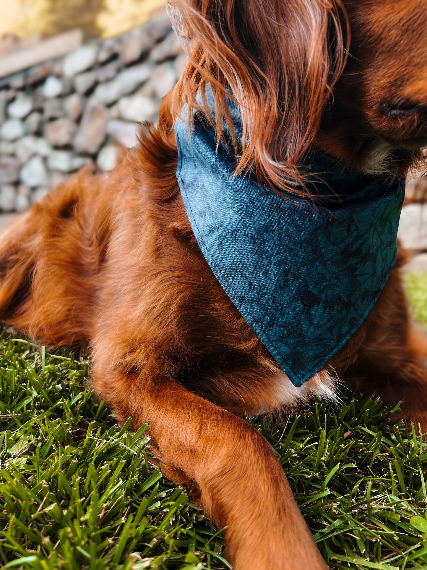 Mountain Blues - Dog Bandana