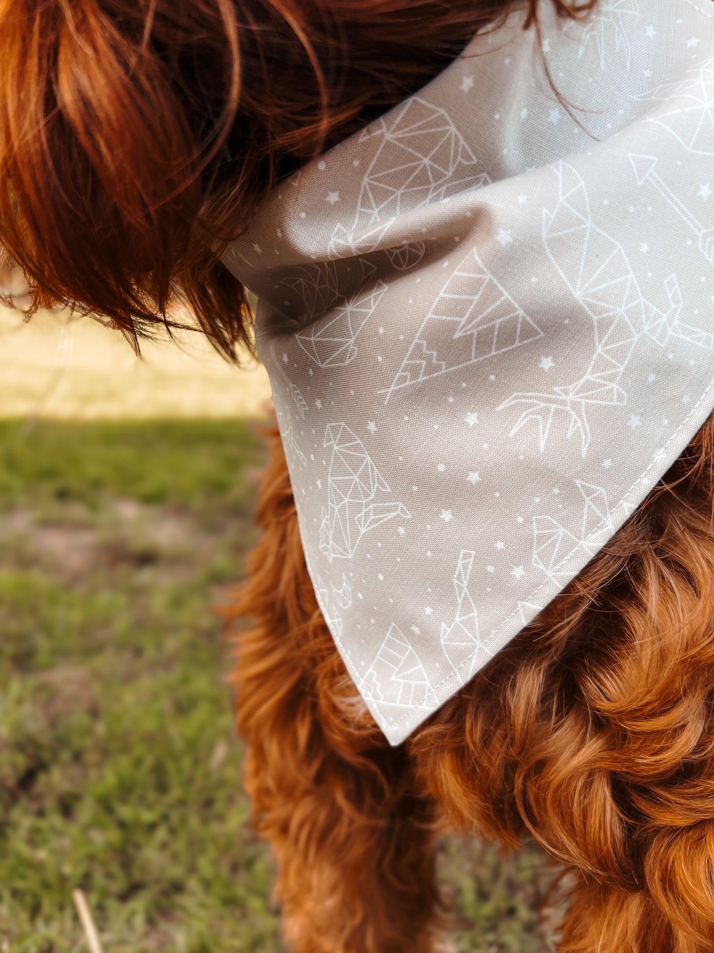 Night Sky - Dog Bandana