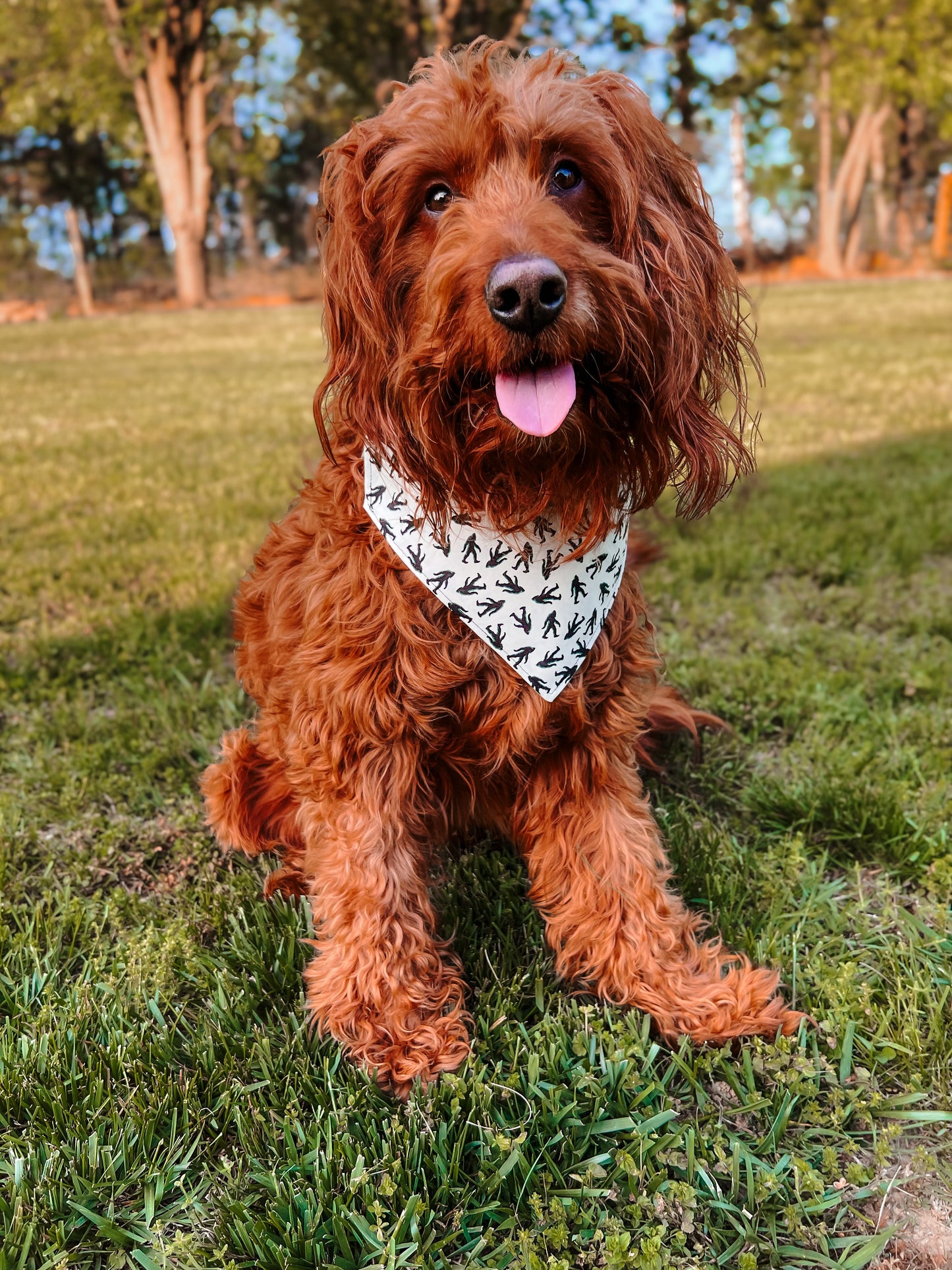 Bigfoot Sighting- Dog Bandana