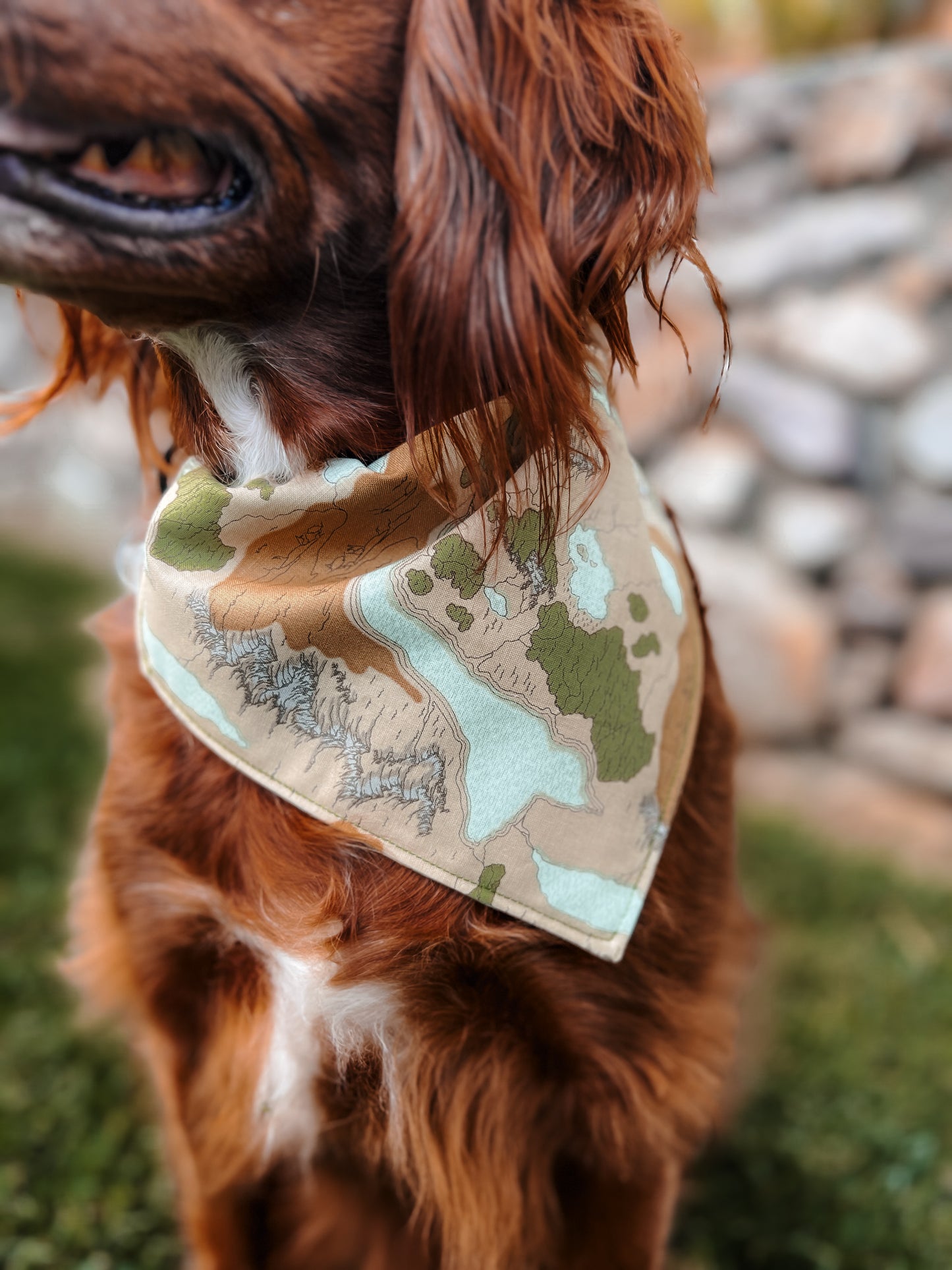 Wilderness Map - Dog Bandana