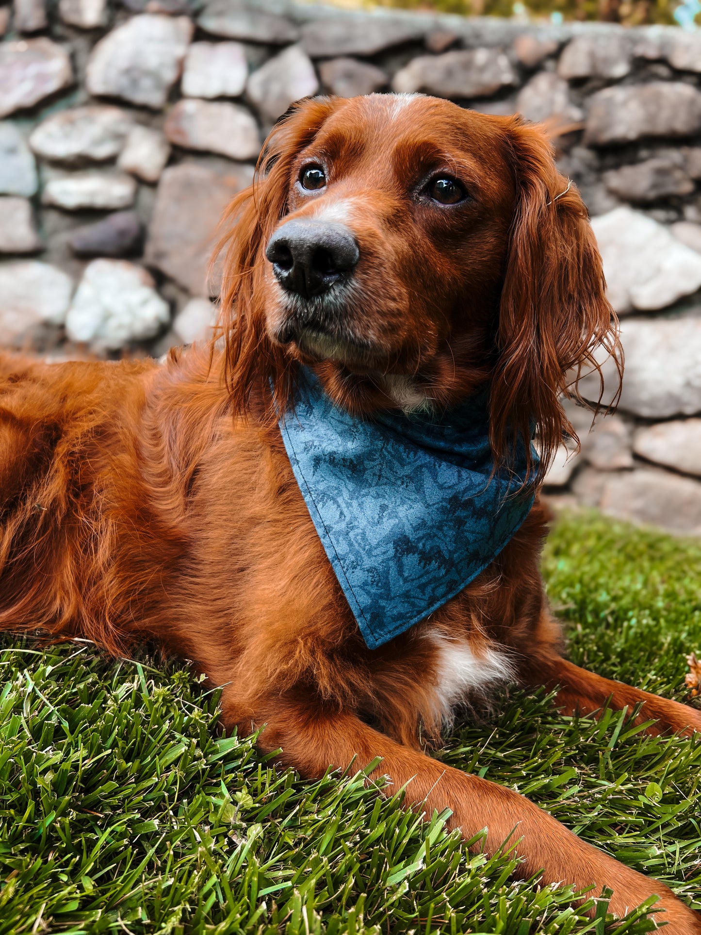 Mountain Blues - Dog Bandana