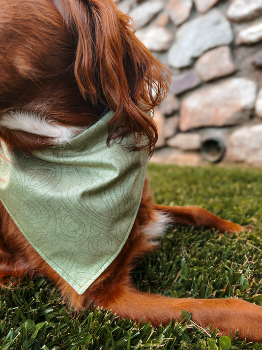 Topography - Dog Bandana