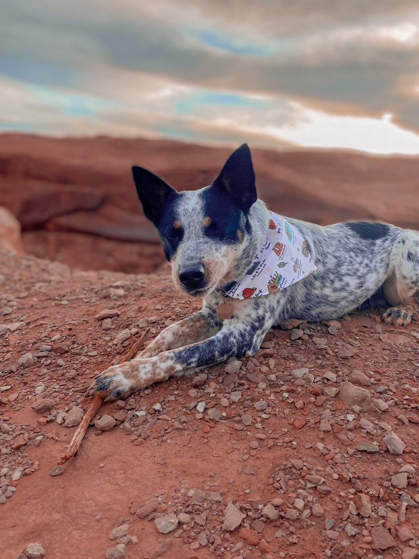 National Parks - Dog Bandana