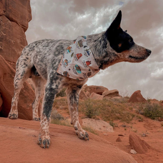 National Parks - Dog Bandana