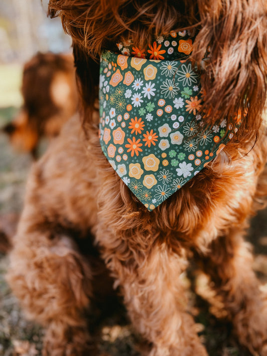 Spring Florals - Dog Bandana