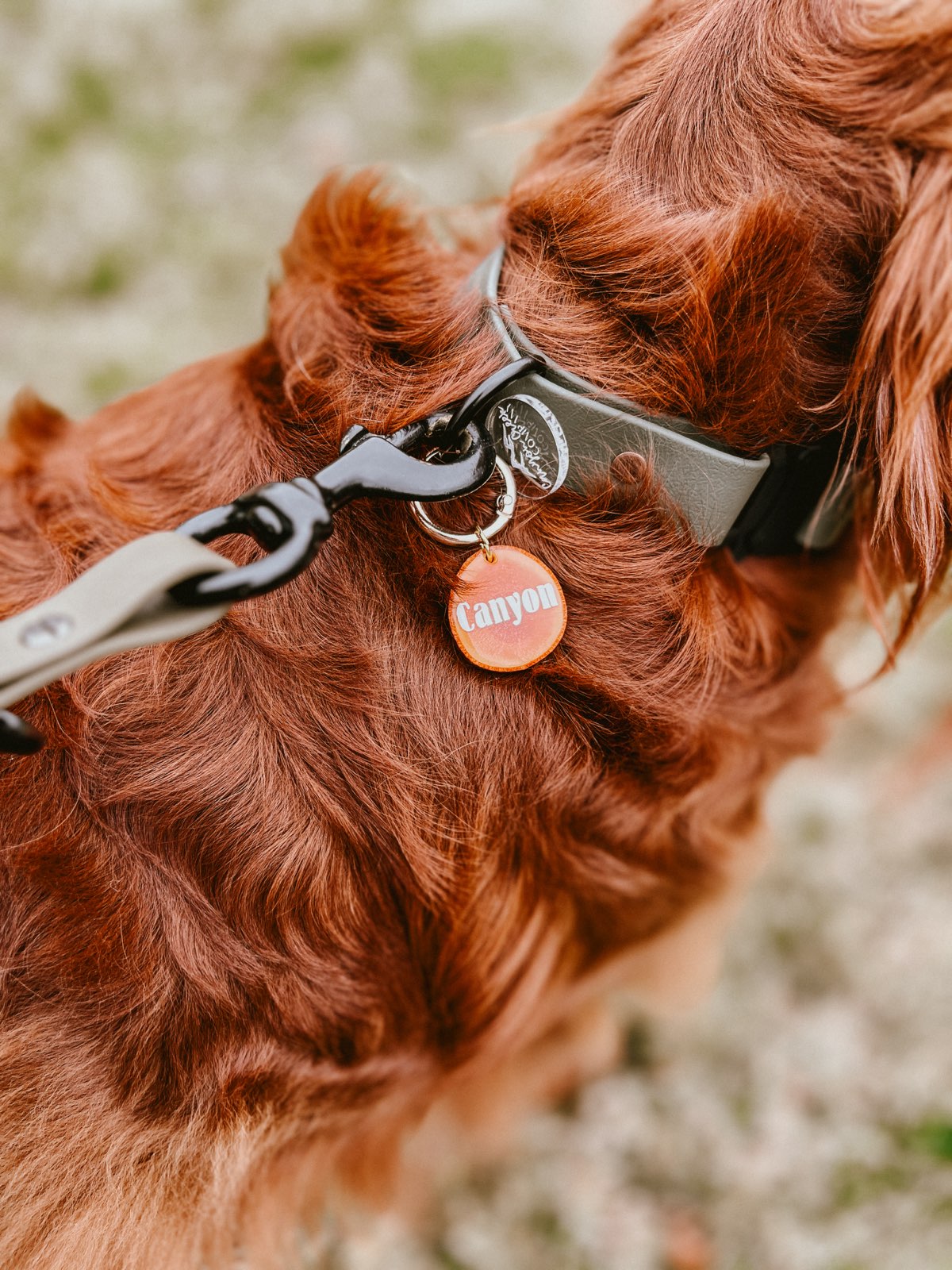 Biothane Collar/Leash Combo - 1 inch